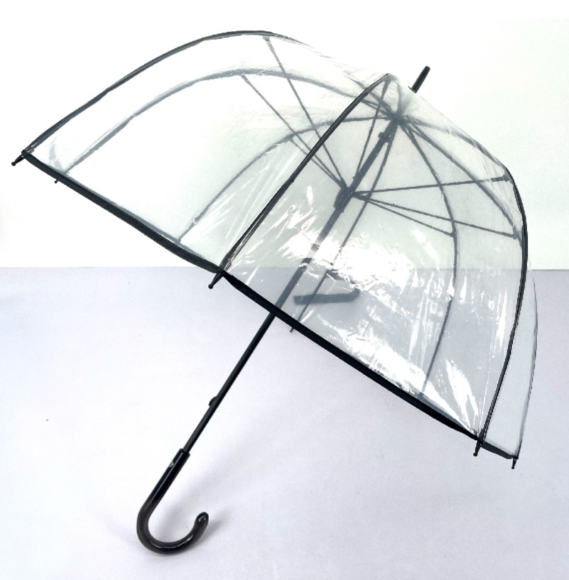 Transparent Apollo Umbrellaa